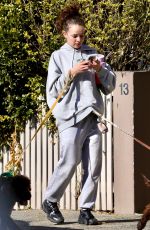 ABBIE CHATFIELD Out with Her Dogs in Bondi 08/06/2024