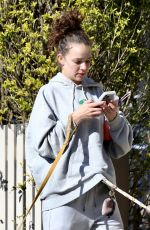 ABBIE CHATFIELD Out with Her Dogs in Bondi 08/06/2024