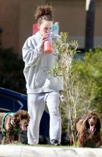 ABBIE CHATFIELD Out with Her Dogs in Bondi 08/06/2024