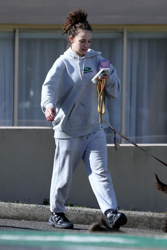 ABBIE CHATFIELD Out with Her Dogs in Bondi 08/06/2024