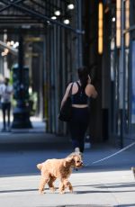 AMY ROBACH Out for a Dog Walk in New York 08/25/2024
