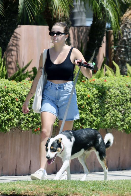AVA PHILLIPPE Out for a Dog Walk in Los Angeles 08/11/2024