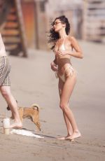BELLA HADID in Bikini at a Beach in Malibu 08/29/2024