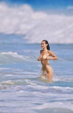BELLA HADID in Bikini at a Beach in Malibu 08/29/2024