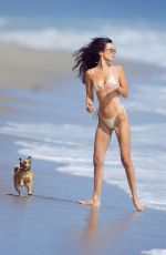 BELLA HADID in Bikini at a Beach in Malibu 08/29/2024
