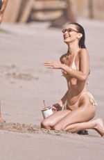 BELLA HADID in Bikini at a Beach in Malibu 08/29/2024