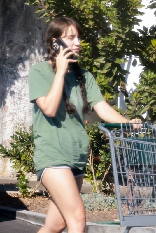 CAYLEE COWAN Shoppinjg at Lazy Acres Market in Los Feliz 08/20/2024