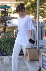 DAKOTA JOHNSON Out for Food Shopping in Malibu 08/19/2024