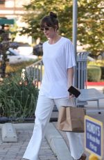DAKOTA JOHNSON Out for Food Shopping in Malibu 08/19/2024