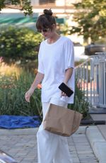 DAKOTA JOHNSON Out for Food Shopping in Malibu 08/19/2024