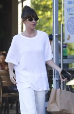 DAKOTA JOHNSON Out for Food Shopping in Malibu 08/19/2024