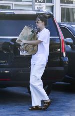 DAKOTA JOHNSON Out for Food Shopping in Malibu 08/19/2024