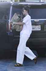 DAKOTA JOHNSON Out for Food Shopping in Malibu 08/19/2024