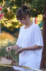 DAKOTA JOHNSON Out for Food Shopping in Malibu 08/19/2024