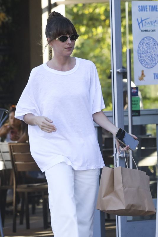 DAKOTA JOHNSON Out for Food Shopping in Malibu 08/19/2024