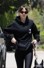 DAKOTA JOHNSON Out with Her Dog in Malibu 08/21/2024