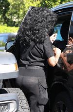 DIANA ROSS Shopping at Bristol Farms in Beverly Hills 08/23/2024