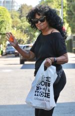 DIANA ROSS Shopping at Bristol Farms in Beverly Hills 08/23/2024