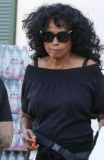 DIANA ROSS Shopping at Bristol Farms in Beverly Hills 08/23/2024
