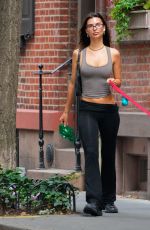 EMILY RATAJKOWKI Out Walking Her dog in New York City 08/20/2024