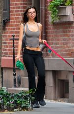 EMILY RATAJKOWKI Out Walking Her dog in New York City 08/20/2024