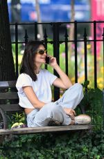 EMILY RATAJKOWSKI Out Chatting on Her Phone in New York 08/26/2024