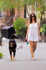 EMILY RATAJKOWSKI Out Walking Her Dog in New York 08/19/2024