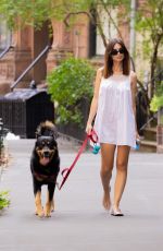 EMILY RATAJKOWSKI Out Walking Her Dog in New York 08/19/2024