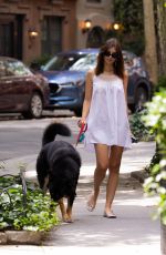 EMILY RATAJKOWSKI Out Walking Her Dog in New York 08/19/2024