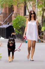 EMILY RATAJKOWSKI Out Walking Her Dog in New York 08/19/2024