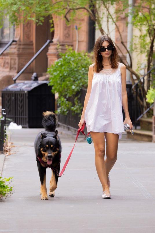 EMILY RATAJKOWSKI Out Walking Her Dog in New York 08/19/2024