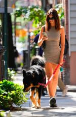 EMILY RATAJKOWSKI Out Walking Her Dog in New York 08/21/2024