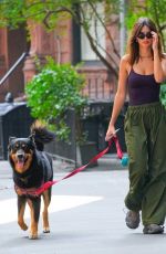 EMILY RATAJKOWSKI Out Walks Her Dog in New York 08/16/2024