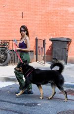 EMILY RATAJKOWSKI Out Walks Her Dog in New York 08/16/2024