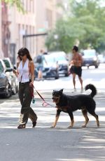 EMILY RATAJKOWSKI Out with Her Dog Colombo in New York 08/11/2024