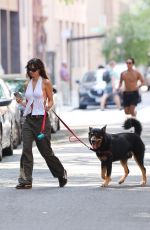 EMILY RATAJKOWSKI Out with Her Dog Colombo in New York 08/11/2024