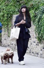 JAMEELA JAMIL Out Shopping with Her Dog in London 08/15/2024