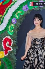 JENNA ORTEGA at Beetlejuice Beetlejuice Photocall in Mexico City 08/13/2024