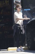 KATE MARA Out Shopping at Lassens Market 08/29/2024