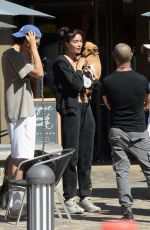 KELLY GALE Out with a New Puppy in Los Angeles 08/20/2024