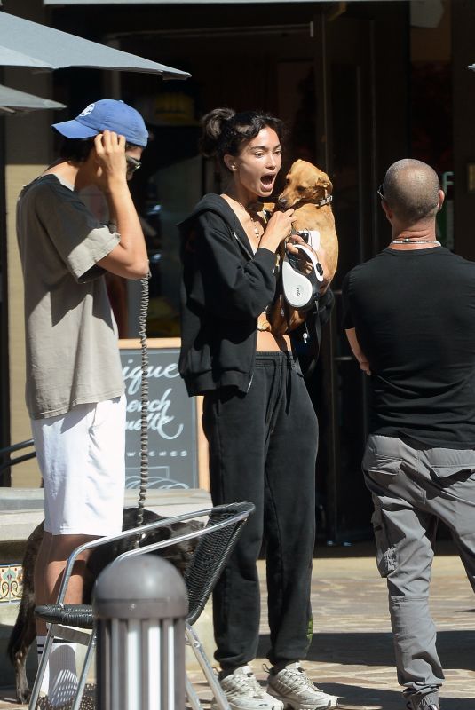 KELLY GALE Out with a New Puppy in Los Angeles 08/20/2024