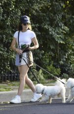 LUCY HALE Out with Her Dogs in Los Angeles 08/15/2024
