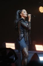 NICOLE SCHERZINGER Performs at a Private Birthday Party in Cannes 08/20/2024