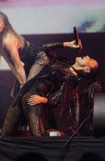 NICOLE SCHERZINGER Performs at a Private Birthday Party in Cannes 08/20/2024