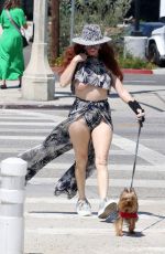PHOEBE PRICE Out with Her Dog in Los Angeles 08/30/2024
