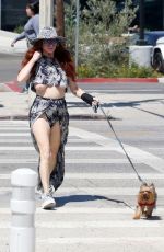 PHOEBE PRICE Out with Her Dog in Los Angeles 08/30/2024