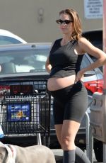 Pregnant LALA KENT Out with Family to Pick up Her Dog from Vet in Los Angeles 08/15/2024