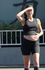 Pregnant LALA KENT Out with Family to Pick up Her Dog from Vet in Los Angeles 08/15/2024