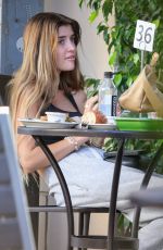 SAM SHEEN at a Lunch with a Friend at Urth Cafe 08/26/2024