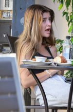 SAM SHEEN at a Lunch with a Friend at Urth Cafe 08/26/2024